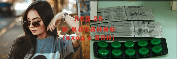 PSILOCYBIN Алзамай